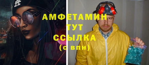 винт Абаза
