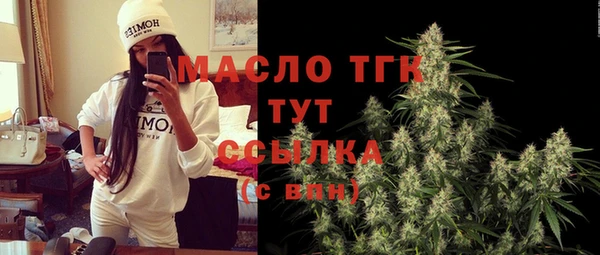 винт Абаза