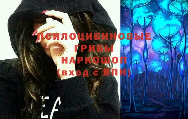 винт Абаза